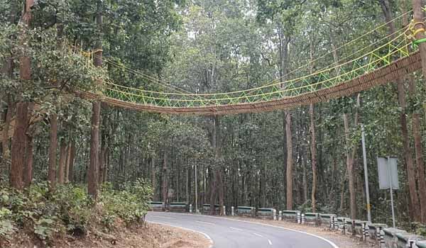 Uttarakhand developed Eco-bridge for Reptiles and Smaller Mammals
